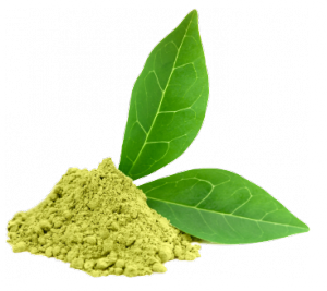 SUPER GREENS FACE CORRECTOR-  מים ירוקים, תשרית של טבע לעור הפנים. לעור שמן, רגיש ובעייתי ולטיפול באקנה ובסבוריאה